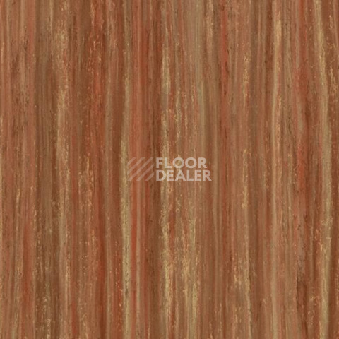 Линолеум Forbo Marmoleum Decibel on Order 524035 canyon shadow фото 1 | FLOORDEALER